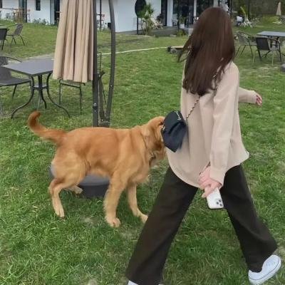 玩火的女孩